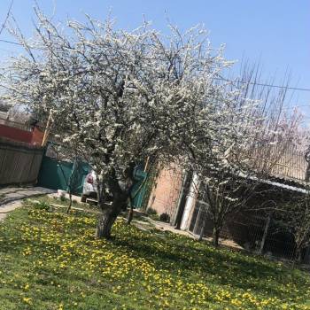 Продается Дом, 75 м²