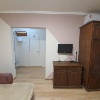 Сдается 1-комнатная квартира, 21,8 м²