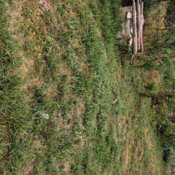 Продается Участок, 700 м²