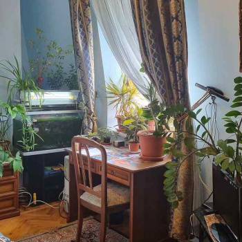 Сдается Комната, 17 м²