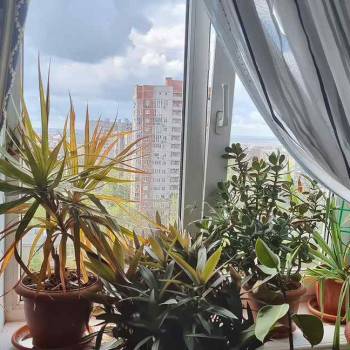 Сдается Комната, 17 м²