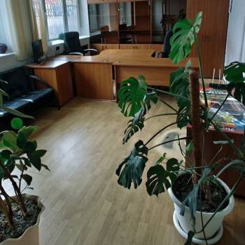 Сдается Нежилое помещение, 33,7 м²