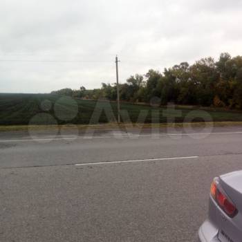 Продается Участок, 31800 м²