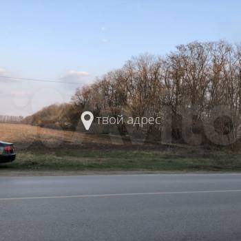 Продается Участок, 31800 м²