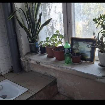 Сдается Комната, 12 м²