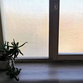 Сдается Комната, 25 м²