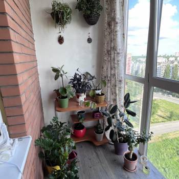 Сдается 2-х комнатная квартира, 56 м²