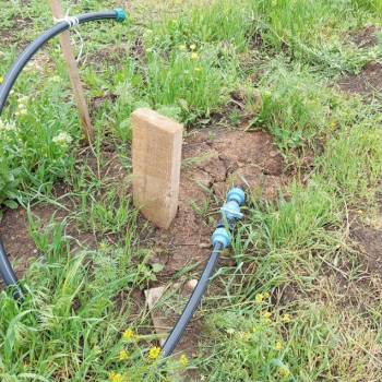 Продается Участок, 620 м²