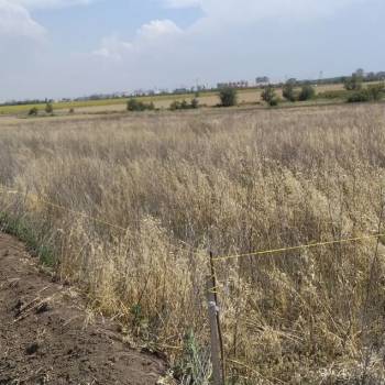 Продается Участок, 500 м²