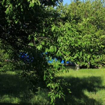 Продается Участок, 700 м²