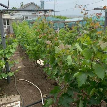 Продается Дом, 206 м²