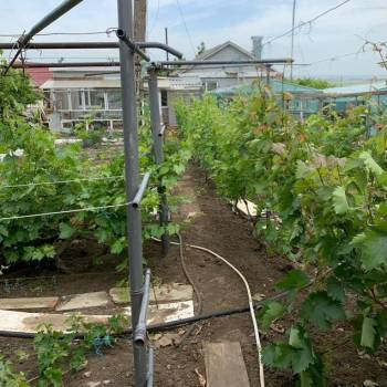 Продается Дом, 206 м²