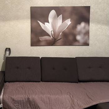 Сдается 2-х комнатная квартира, 55 м²