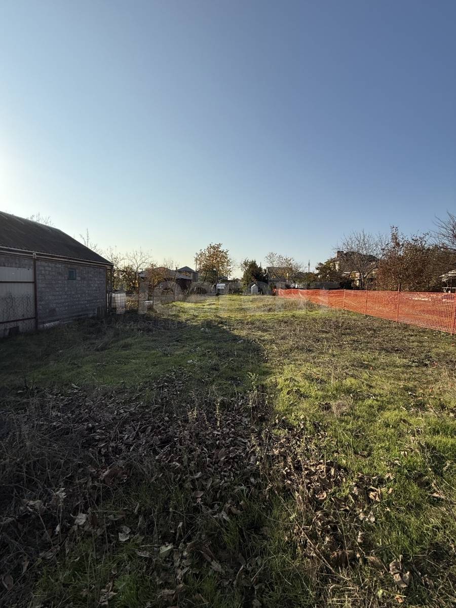 Фотография №3