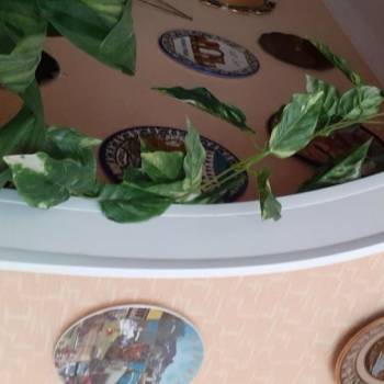 Сдается Комната, 60 м²