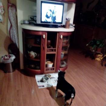 Сдается Комната, 60 м²