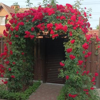 Продается Дом, 71,4 м²