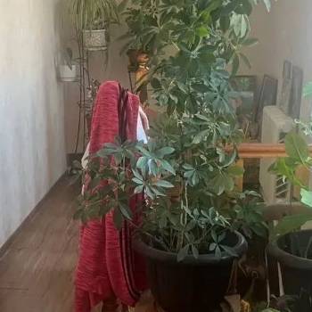 Продается Дом, 125 м²