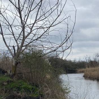 Продается Участок, 600 м²