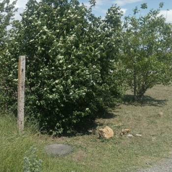 Продается Участок, 600 м²