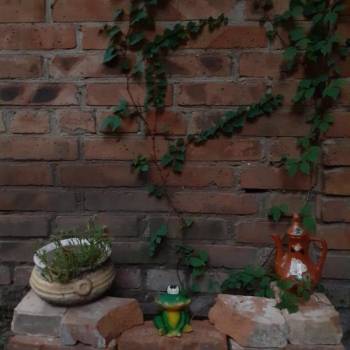 Сдается Комната, 20 м²