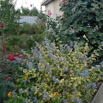 Продается Дом, 95 м²