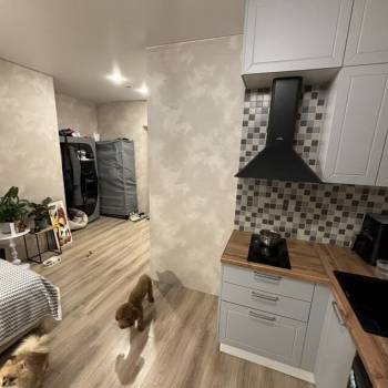 Сдается 1-комнатная квартира, 32 м²