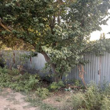 Продается Участок, 700 м²