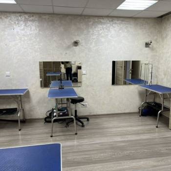 Продается Нежилое помещение, 41,7 м²