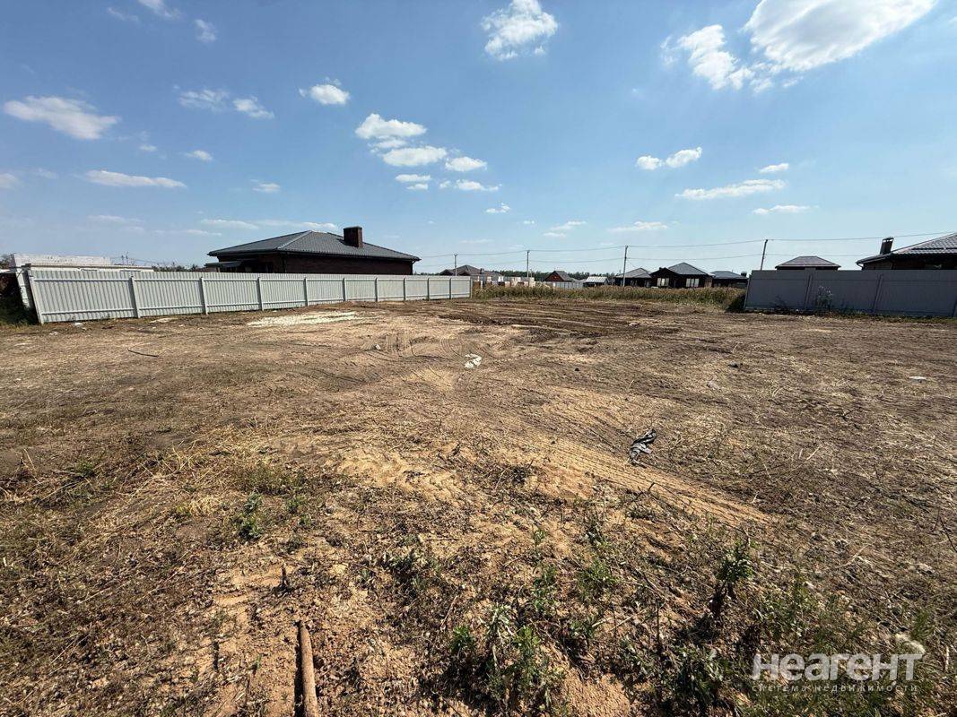 Фотография №2