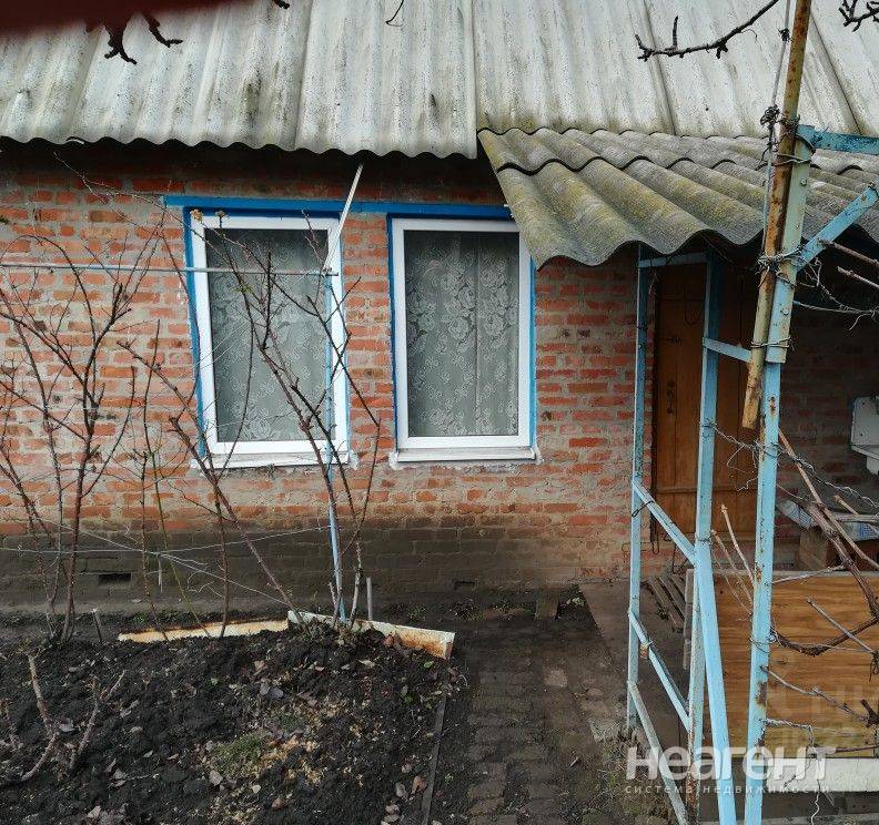 Фотография №3