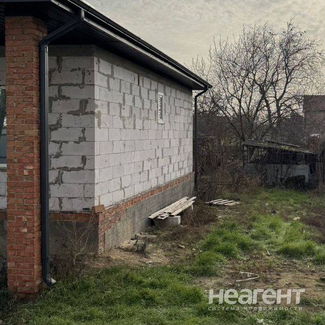 Фотография №3