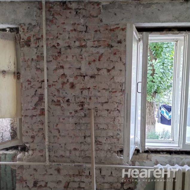 Фотография №2