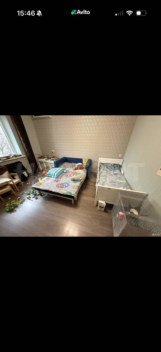 Фотография №15