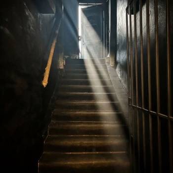 Сдается Нежилое помещение, 44 м²