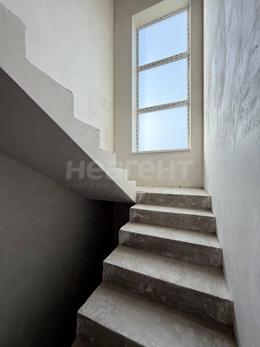 Фотография №12