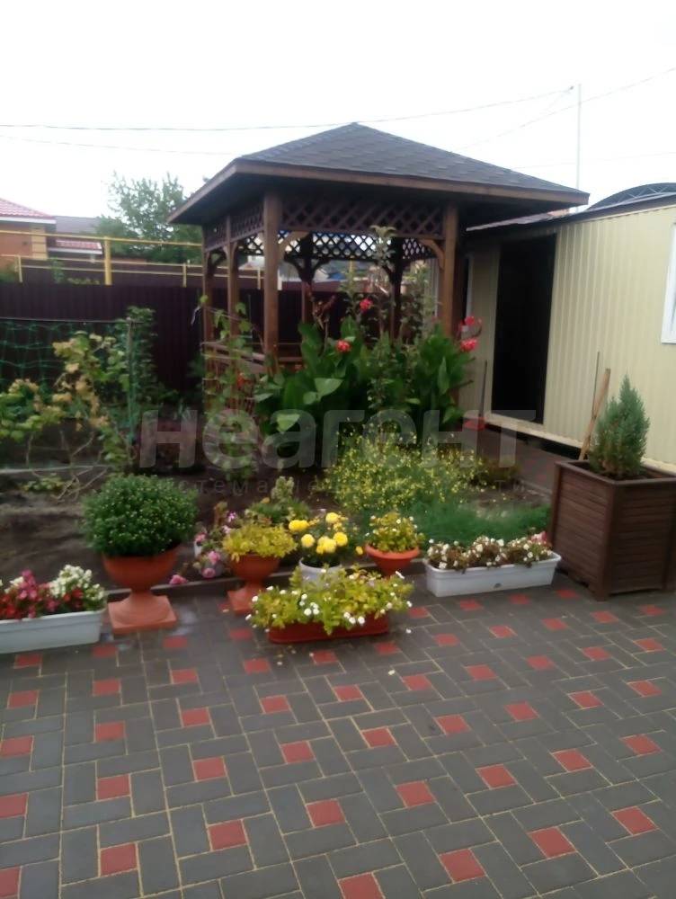 Фотография №3