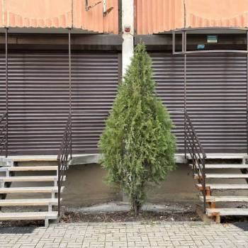 Продается Нежилое помещение, 68 м²