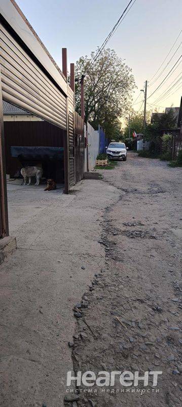 Фотография №2