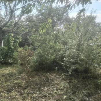 Продается Участок, 510 м²