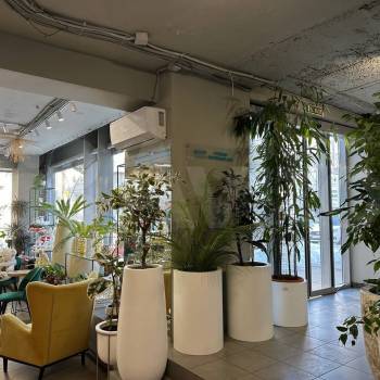 Сдается Нежилое помещение, 230 м²