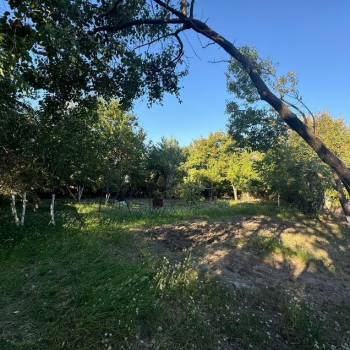 Продается Участок, 720 м²