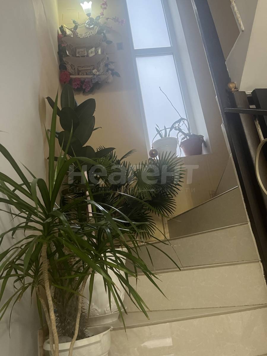 Фотография №10