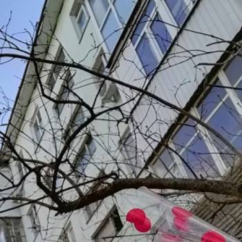 Сдается Многокомнатная квартира, 42 м²