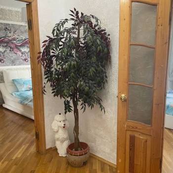 Сдается 2-х комнатная квартира, 50 м²