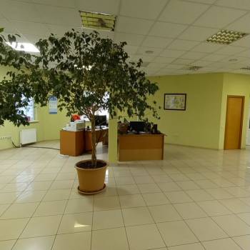 Сдается Офис, 223,6 м²