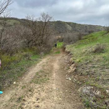 Продается Участок, 1500 м²