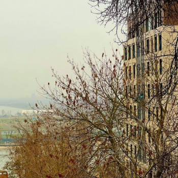 Продается 2-х комнатная квартира, 51,9 м²