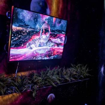 Сдается Нежилое помещение, 314 м²