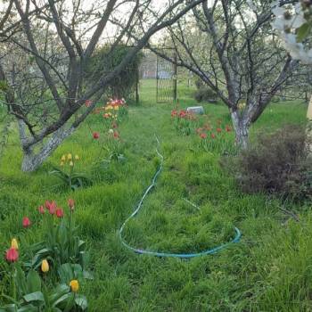 Продается Дом, 35 м²